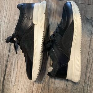 Everlane Leather Sneakers
